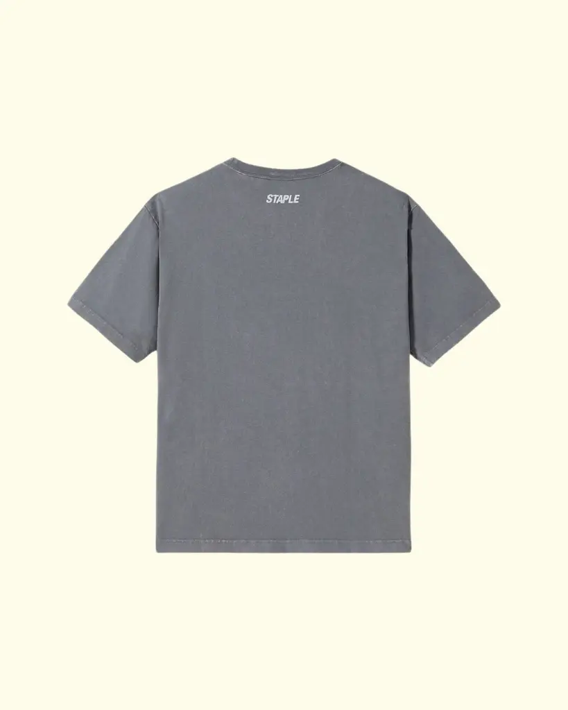 Grey_formulz_tee_back.webp